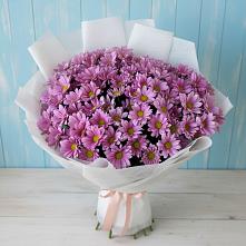 Букет цветов из:  Хризантемы в Ядрино