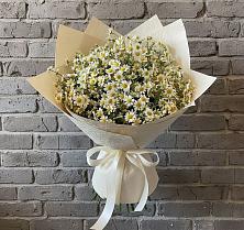 Букет цветов из:  Ромашки в Ядрино