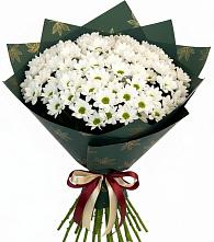 Букет цветов из:  Хризантемы в Ядрино