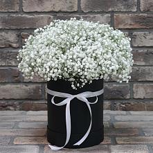 Цветочная композиция из Гипсофила в шляпной коробке в Ядрино