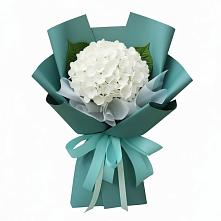 Букет цветов из:  Гортензия в Ядрино